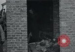 Image of German civilians view dead at Wöbbelin Concentration Camp Ludwigslust Germany, 1945, second 23 stock footage video 65675073876