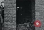 Image of German civilians view dead at Wöbbelin Concentration Camp Ludwigslust Germany, 1945, second 24 stock footage video 65675073876