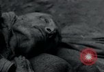 Image of Barracks and victims at Wöbbelin Concentration Camp Ludwigslust Germany, 1945, second 18 stock footage video 65675073879
