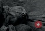 Image of Barracks and victims at Wöbbelin Concentration Camp Ludwigslust Germany, 1945, second 19 stock footage video 65675073879