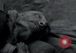 Image of Barracks and victims at Wöbbelin Concentration Camp Ludwigslust Germany, 1945, second 20 stock footage video 65675073879