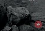 Image of Barracks and victims at Wöbbelin Concentration Camp Ludwigslust Germany, 1945, second 22 stock footage video 65675073879