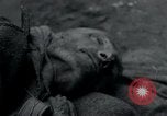 Image of Barracks and victims at Wöbbelin Concentration Camp Ludwigslust Germany, 1945, second 24 stock footage video 65675073879