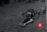 Image of Barracks and victims at Wöbbelin Concentration Camp Ludwigslust Germany, 1945, second 54 stock footage video 65675073879