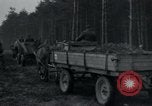 Image Wöbbelin Wobbelin () Camp de concentration Nazi Nanterre Allemagne, 1945, de la seconde 7 séquences d'archives historiques vidéo 65675073880