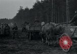 Image Wöbbelin Wobbelin () Camp de concentration Nazi Nanterre Allemagne, 1945, de la seconde 10 séquences d'archives historiques vidéo 65675073880