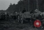 Image Wöbbelin Wobbelin () Camp de concentration Nazi Nanterre Allemagne, 1945, de la seconde 17 séquences d'archives historiques vidéo 65675073880