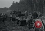 Image Wöbbelin Wobbelin () Camp de concentration Nazi Nanterre Allemagne, 1945, de la seconde 24 séquences d'archives historiques vidéo 65675073880