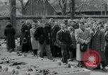 Immagine di Civili tedesco Neuchâtel Germania, 1945, secondo 61 filmato di repertorio 65675073881