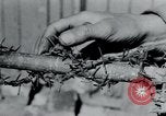 Immagine di Breendonck Campo di Concentramento Belgio, 1945, secondo 17 filmato di repertorio 65675073887