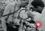 Immagine di Prigionieri di camp Belgio, 1945, secondo 8 filmato di repertorio 65675073888