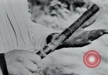 Immagine di Prigionieri di camp Belgio, 1945, secondo 18 filmato di repertorio 65675073888