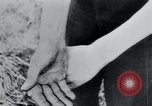 Immagine di Prigionieri di camp Belgio, 1945, secondo 50 filmato di repertorio 65675073888