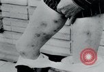 Immagine di Prigionieri di camp Belgio, 1945, secondo 30 filmato di repertorio 65675073889