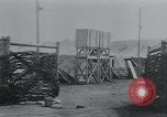 Standbild Polnischen und Russischen Opfer im Konzentrationslager Arnstadt Deutschland, 1945, aus Sekunde 15 historischem Filmmaterial Videoclip 65675073891