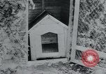 Standbild Polnischen und Russischen Opfer im Konzentrationslager Arnstadt Deutschland, 1945, aus Sekunde 23 historischem Filmmaterial Videoclip 65675073891