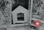 Standbild Polnischen und Russischen Opfer im Konzentrationslager Arnstadt Deutschland, 1945, aus Sekunde 24 historischem Filmmaterial Videoclip 65675073891