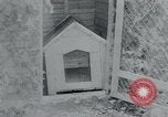 Standbild Polnischen und Russischen Opfer im Konzentrationslager Arnstadt Deutschland, 1945, aus Sekunde 25 historischem Filmmaterial Videoclip 65675073891
