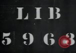 Standbild Haufen von toten Körpern Weimar Deutschland, 1945, aus Sekunde 1 historischem Filmmaterial Videoclip 65675073892