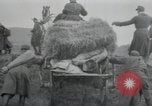 Standbild USA Offiziere Cham Deutschland, 1945, aus Sekunde 17 historischem Filmmaterial Videoclip 65675073895