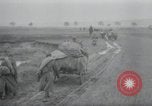 Standbild USA Offiziere Cham Deutschland, 1945, aus Sekunde 29 historischem Filmmaterial Videoclip 65675073895