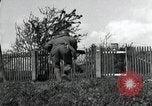 Standbild 20 Armored Division Deutschland, 1945, aus Sekunde 17 historischem Filmmaterial Videoclip 65675073901
