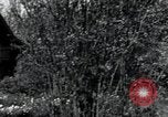 Standbild 20 Armored Division Deutschland, 1945, aus Sekunde 29 historischem Filmmaterial Videoclip 65675073901