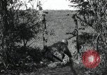 Standbild 20 Armored Division Deutschland, 1945, aus Sekunde 52 historischem Filmmaterial Videoclip 65675073901