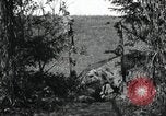 Standbild 20 Armored Division Deutschland, 1945, aus Sekunde 53 historischem Filmmaterial Videoclip 65675073901