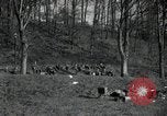 Standbild deutsche Zivilisten am östlichen Ufer der Mulde Grimma Deutschland, 1945, aus Sekunde 8 historischem Filmmaterial Videoclip 65675073903
