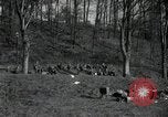 Standbild deutsche Zivilisten am östlichen Ufer der Mulde Grimma Deutschland, 1945, aus Sekunde 9 historischem Filmmaterial Videoclip 65675073903