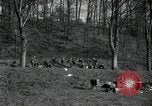 Standbild deutsche Zivilisten am östlichen Ufer der Mulde Grimma Deutschland, 1945, aus Sekunde 10 historischem Filmmaterial Videoclip 65675073903