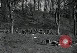 Standbild deutsche Zivilisten am östlichen Ufer der Mulde Grimma Deutschland, 1945, aus Sekunde 11 historischem Filmmaterial Videoclip 65675073903