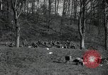 Standbild deutsche Zivilisten am östlichen Ufer der Mulde Grimma Deutschland, 1945, aus Sekunde 13 historischem Filmmaterial Videoclip 65675073903