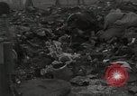 Image of former inmates Germany, 1945, second 4 stock footage video 65675073905