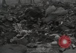 Image of former inmates Germany, 1945, second 5 stock footage video 65675073905