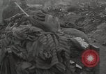 Image of former inmates Germany, 1945, second 35 stock footage video 65675073905