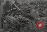 Image of former inmates Germany, 1945, second 37 stock footage video 65675073905