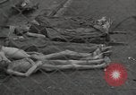 Image of former inmates Germany, 1945, second 55 stock footage video 65675073905