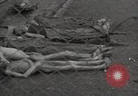 Image of former inmates Germany, 1945, second 56 stock footage video 65675073905