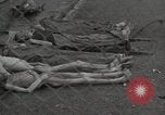 Image of former inmates Germany, 1945, second 57 stock footage video 65675073905