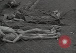 Image of former inmates Germany, 1945, second 58 stock footage video 65675073905