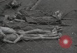 Image of former inmates Germany, 1945, second 59 stock footage video 65675073905