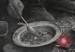 Image of liberated prisoners Germany, 1945, second 12 stock footage video 65675073906