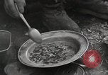 Image of liberated prisoners Germany, 1945, second 13 stock footage video 65675073906