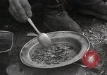 Image of liberated prisoners Germany, 1945, second 14 stock footage video 65675073906