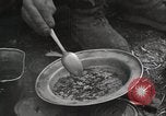 Image of liberated prisoners Germany, 1945, second 17 stock footage video 65675073906