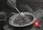 Image of liberated prisoners Germany, 1945, second 18 stock footage video 65675073906