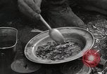 Image of liberated prisoners Germany, 1945, second 21 stock footage video 65675073906