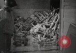 Image of pile of emaciated corpses Germany, 1945, second 4 stock footage video 65675073907